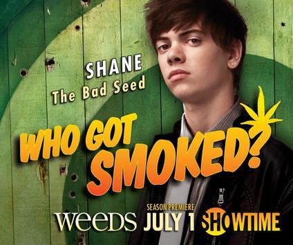 Weeds: pósters de la 8ª temporada