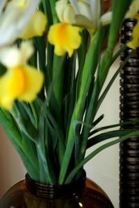 LAS MAGIA DE LO SIMPLE E INVISIBLE…