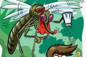 CRÉALO: Suspenden docencia en una escuela por plaga de mosquitos