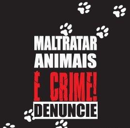 Maltratar animales