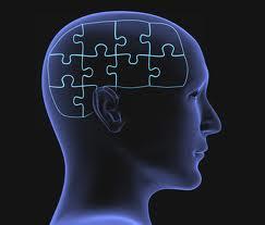 c355 Brain training: ¿El cerebro se puede entrenar?