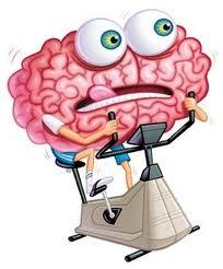 c167 Brain training: ¿El cerebro se puede entrenar?