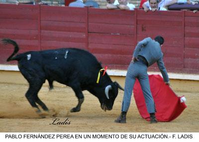 FERIA TAURINA DE CÓRDOBA: LA BECERRADA HOMENAJE A LA MUJER CORDOBESA CIERRA LA FERIA