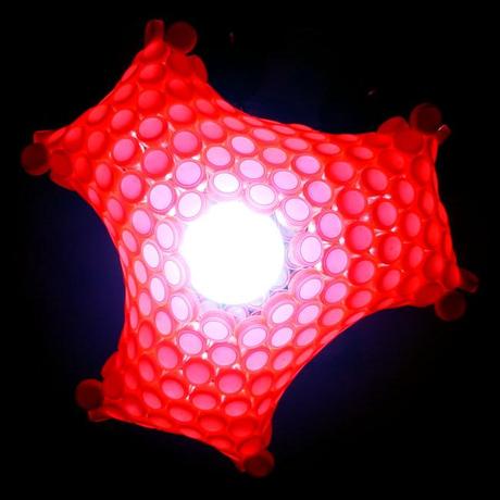 The Anemona series - La serie Anemona