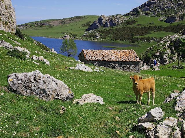 lagos de covadonga y vega el paré