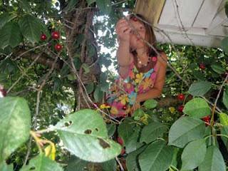 LA PRIMA DE RIESGO SE SUBE AL GUINDO