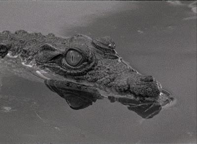 32 Foro de la Cineteca/VII y último