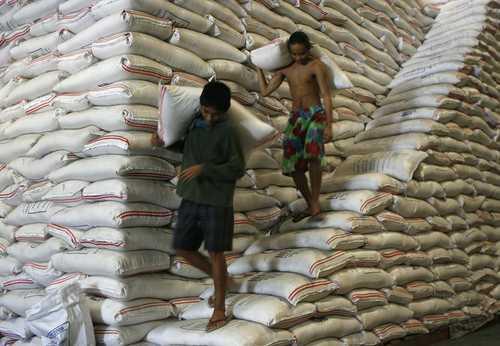 CALLE 13: Logra recoger 48,000 libras de arroz en la entrada!