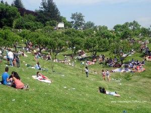 Martes de Campo Oviedo: Laderas del parque Pura Tomás