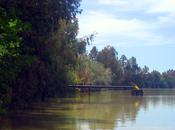 "Plein aire" junto Guadalquivir