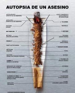 autipsia de un asesino 243x300 Día Mundial sin tabaco 2012: la interferencia de la industria del tabaco....