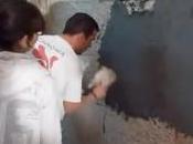 perdiste talleres…