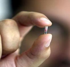 EL MICROCHIP Y LA MARCA DE LA BESTIA