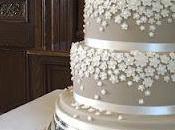 Bodas Color Plata