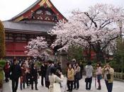 artículos Aprender japonés desde cero