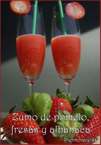 I. BEBIDAS CON THERMOMIX