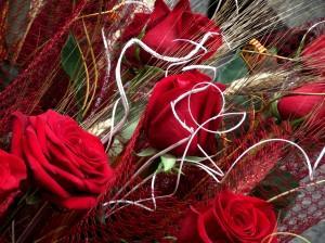 Sant Jordi, Barcelona, abril 2012 ¿HABLAMOS DE AMOR?