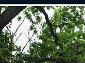 Fragmento Nº37: guarida