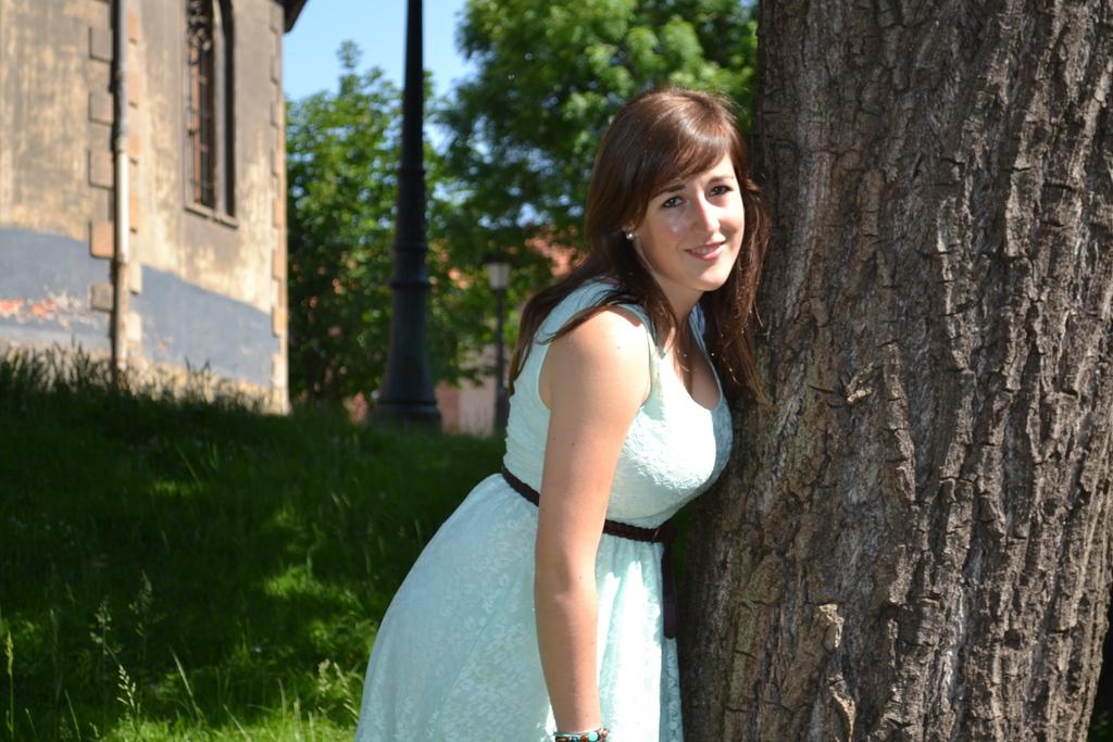 Image Hosted by ImageShack.us