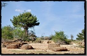 CarreteraCortada (3)