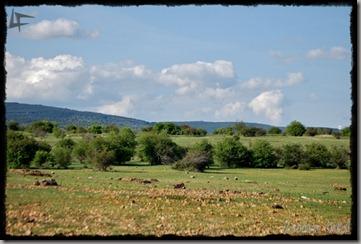 CarreteraCortada (4)