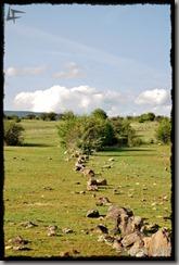 CarreteraCortada (5)