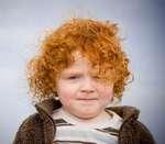 La fertilidad de las irlandesas