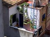 vecinitas casa lado ensalada lentejas