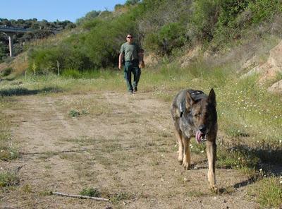Hallan el sombrero de Tomás junto a la presa de la depuradora de residuales