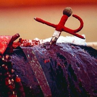 toros ayudas estado sangre asesinato toros ayudas estado sangre asesinato