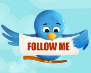 Cómo conseguir mas seguidores en Twitter en sólo 7 pasos