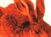 Reseña literaria colina Watership, Richard Adams