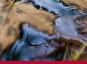 músico ciego, Carlo Frabetti