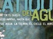 latido agua, Felicitas Rebaque Lázaro