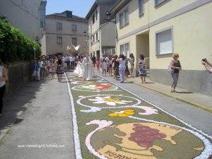 Corpus Christi Castropol y alfombras florales: Detalles Alfombras florales