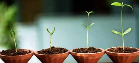 3er Aniversario, por allí sopla