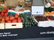 huerto mesa: 'Mercat pagès' Sant