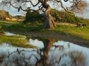 Casamance, región descubrir