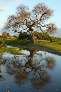 Oussouye, Ziguinchor