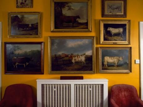 Collection of 18th century bull paintings on walls above radiator on yellow landing