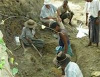 Un nuevo fósil constata la evolución antropoide en Asia