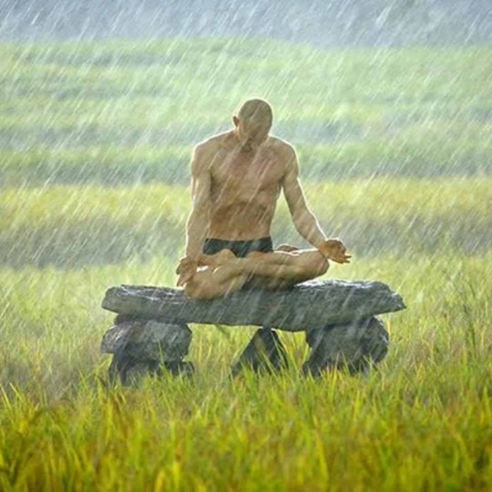 Viviendo en armonía con el SER