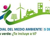 Mundial Medio Ambiente 2012