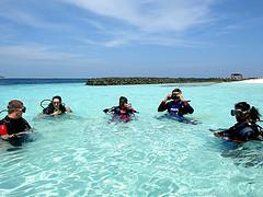 Dive Experience - Maldives