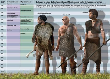 El ‘Homo heidelbergensis’ era solo un poco más alto que el neandertal