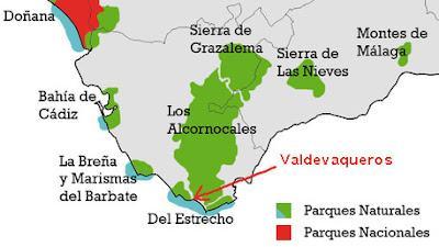 Salvar Valdevaqueros, fuerte resistencia contra el desarrollismo especulativo Salvar Valdevaqueros, fuerte resistencia contra el desarrollismo especulativo