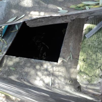 Foto: URGENTE, NECESITAMOS ACOGIDA PARA DOS JOVENES GALGAS Y UN MACHO ADULTO GALGO DEL DECOMISO DE TARRAGONA. EL DUEÑO HA RENUNCIADO A LOS GALGOS, 3 PODENCOS Y SUS HURONES Y TENEMOS Q SACARLOS DE LA PERRERA YA! Contacto para acogida o adopcion, solo en catalunya tel 600781305 o pro-galgo@total-barcelona.com http://www.diaridetarragona.com/tarragona/067858/detenido/hombre/abandonados/nueve/perros/almacen/tarragona