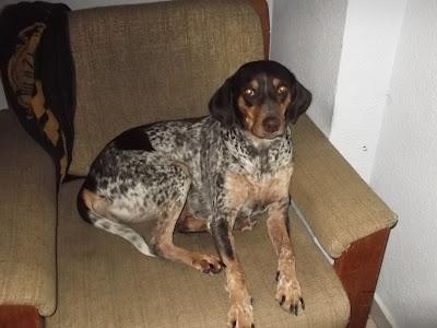 PERRA PERDIDA EN HUELVA!‏