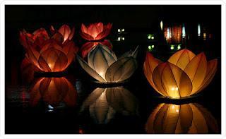 Decoración Piscina para Bodas y Fiestas