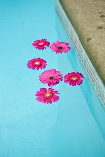 Decoración Piscina para Bodas y Fiestas